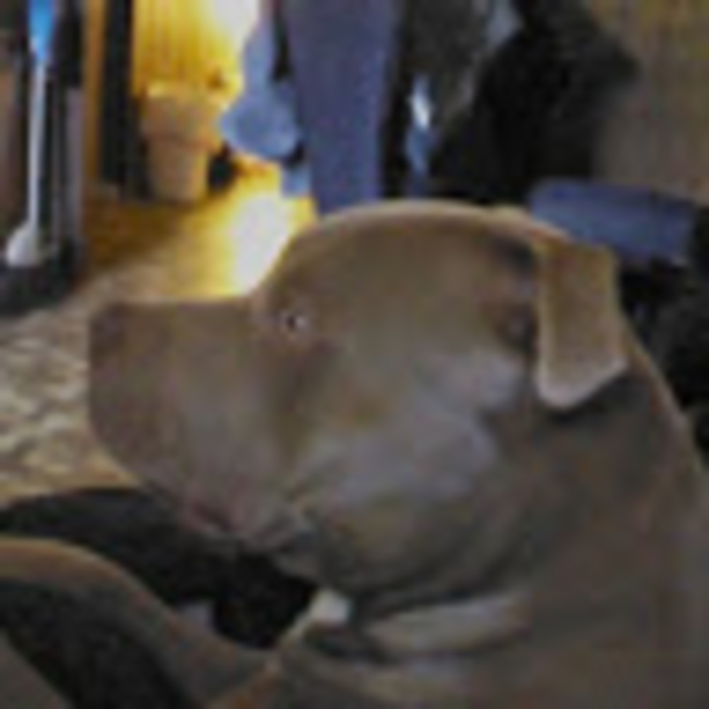 Meet your Posher, Debra